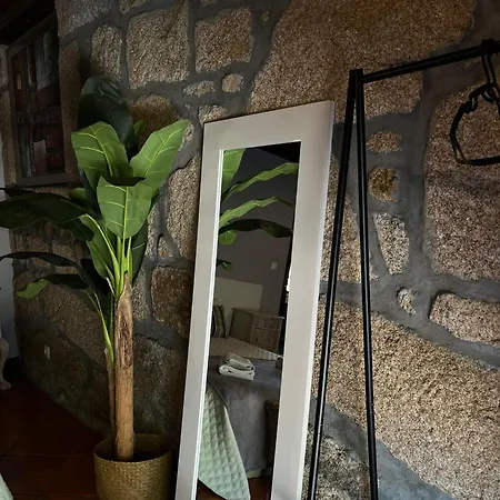 Farm stay Quinta Santo Antonio Do Rio *