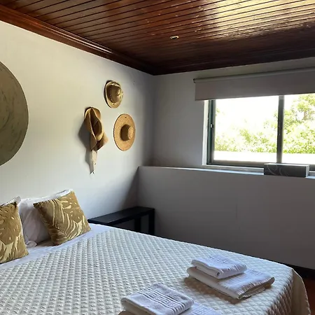 Quinta Santo Antonio Do Rio * Celorico Da Beira