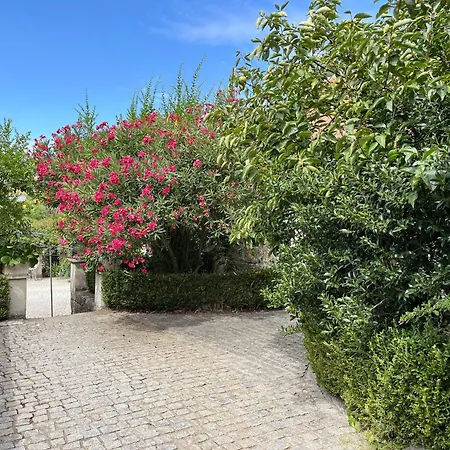 Farm stay Quinta Santo Antonio Do Rio Celorico Da Beira