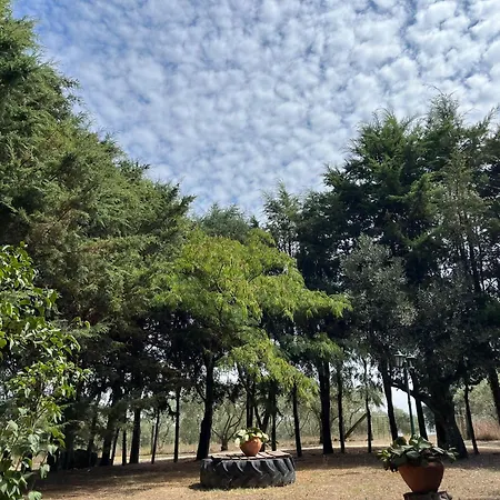 Çiftlik konaklama Quinta Santo Antonio Do Rio Celorico Da Beira
