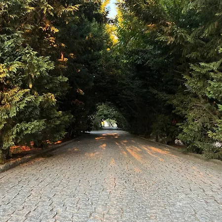 Gospodarstwo agroturystyczne Quinta Santo Antonio Do Rio *