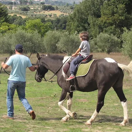 Gospodarstwo agroturystyczne Quinta Santo Antonio Do Rio Celorico Da Beira