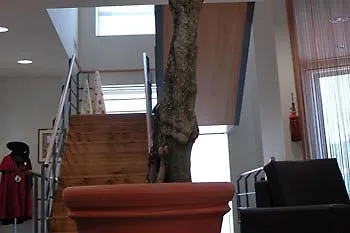 Quinta Santo Antonio Do Rio * Celorico Da Beira