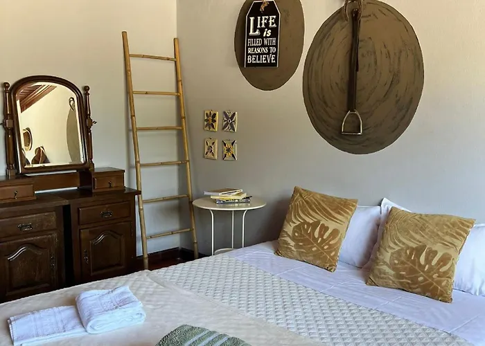 مزرعة للإقامة Quinta Santo Antonio Do Rio سيلوريكو دا بيرا