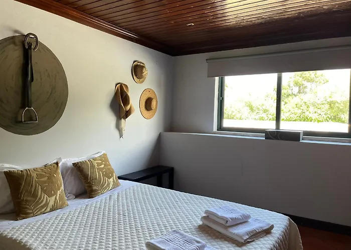 Quinta Santo Antonio Do Rio * سيلوريكو دا بيرا