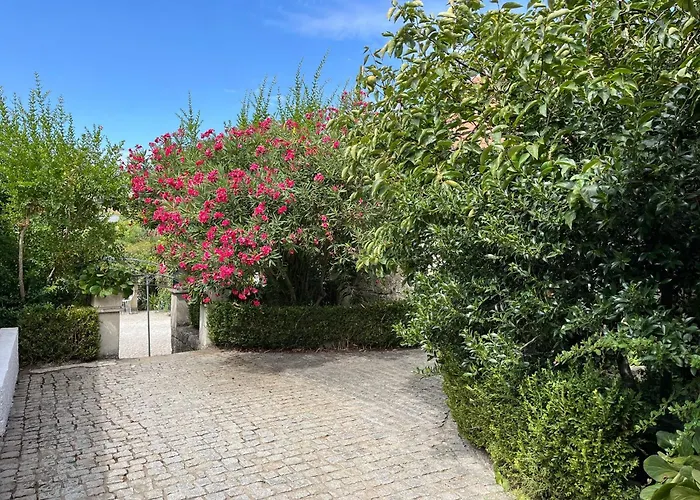 مزرعة للإقامة Quinta Santo Antonio Do Rio سيلوريكو دا بيرا