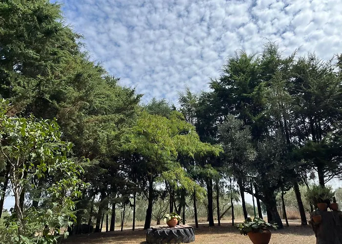 Çiftlik konaklama Quinta Santo Antonio Do Rio Celorico Da Beira