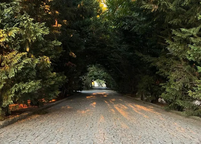 مزرعة للإقامة Quinta Santo Antonio Do Rio *