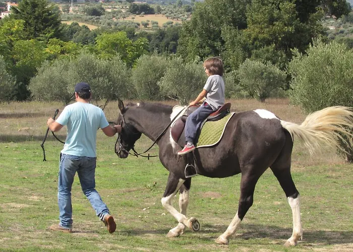 مزرعة للإقامة Quinta Santo Antonio Do Rio سيلوريكو دا بيرا